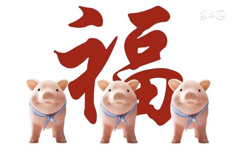 屬豬 年份|屬豬今年幾歲 豬年是民國西元哪幾年